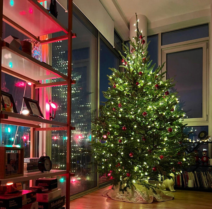 Dumbo Christmas Trees: Neighborhood Buying & Delivery Guide