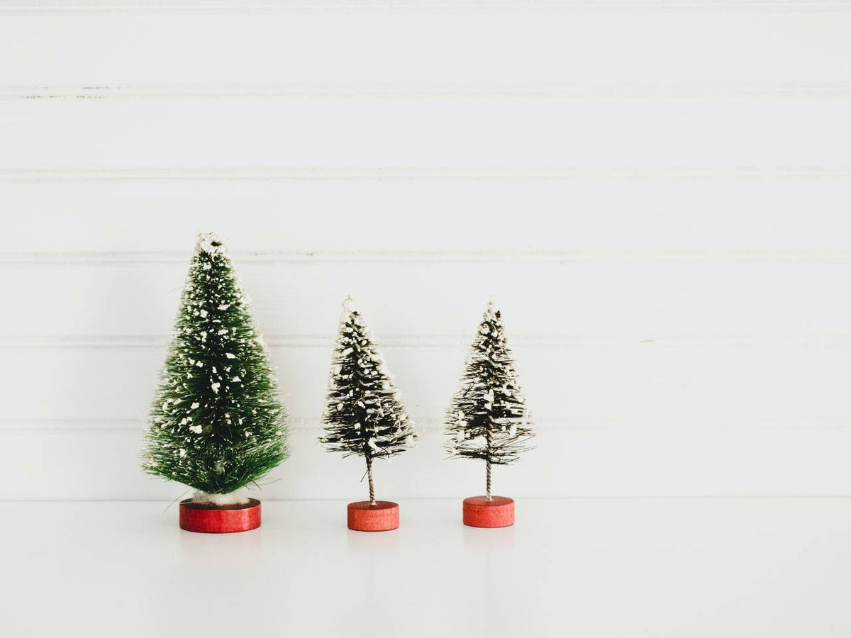 How To Choose The Right Christmas Tree Size? Christmas Tree Brooklyn