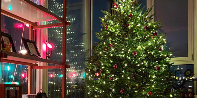 Christmas Tree Delivery Brooklyn: Complete Brooklyn Delivery Guide 2025