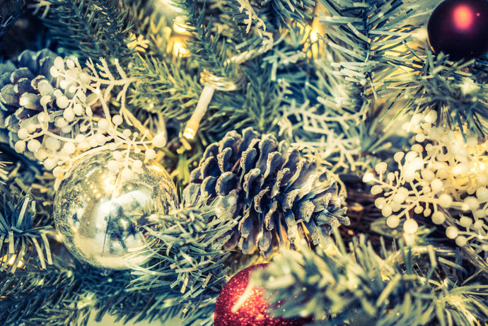 Brooklyn Christmas Tree Recycling: 2025–2026 Guide