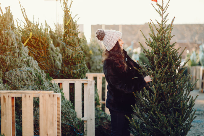 Christmas Tree Removal NYC: 2025–2026 Guide