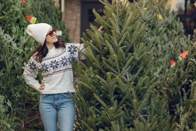 Carroll Gardens Holiday Trees: Complete Brooklyn Delivery Guide 2025