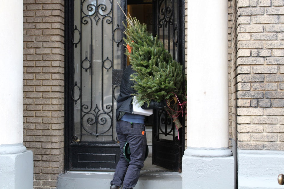 christmas tree delivery nyc